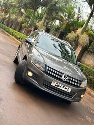 A picture of Tiguan 2014 44m