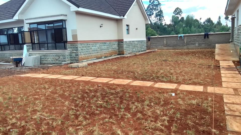 grass