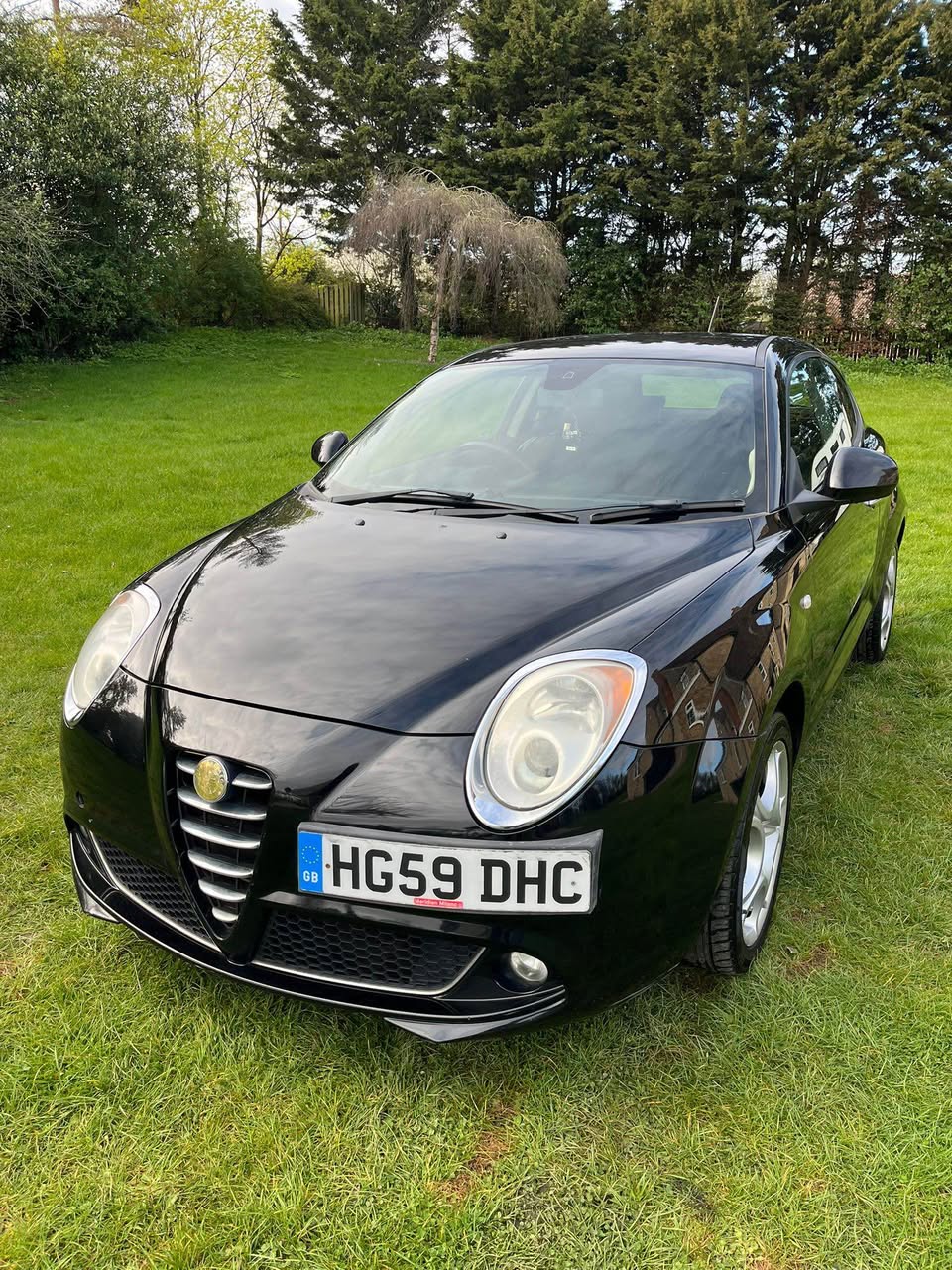 alfa romeo
