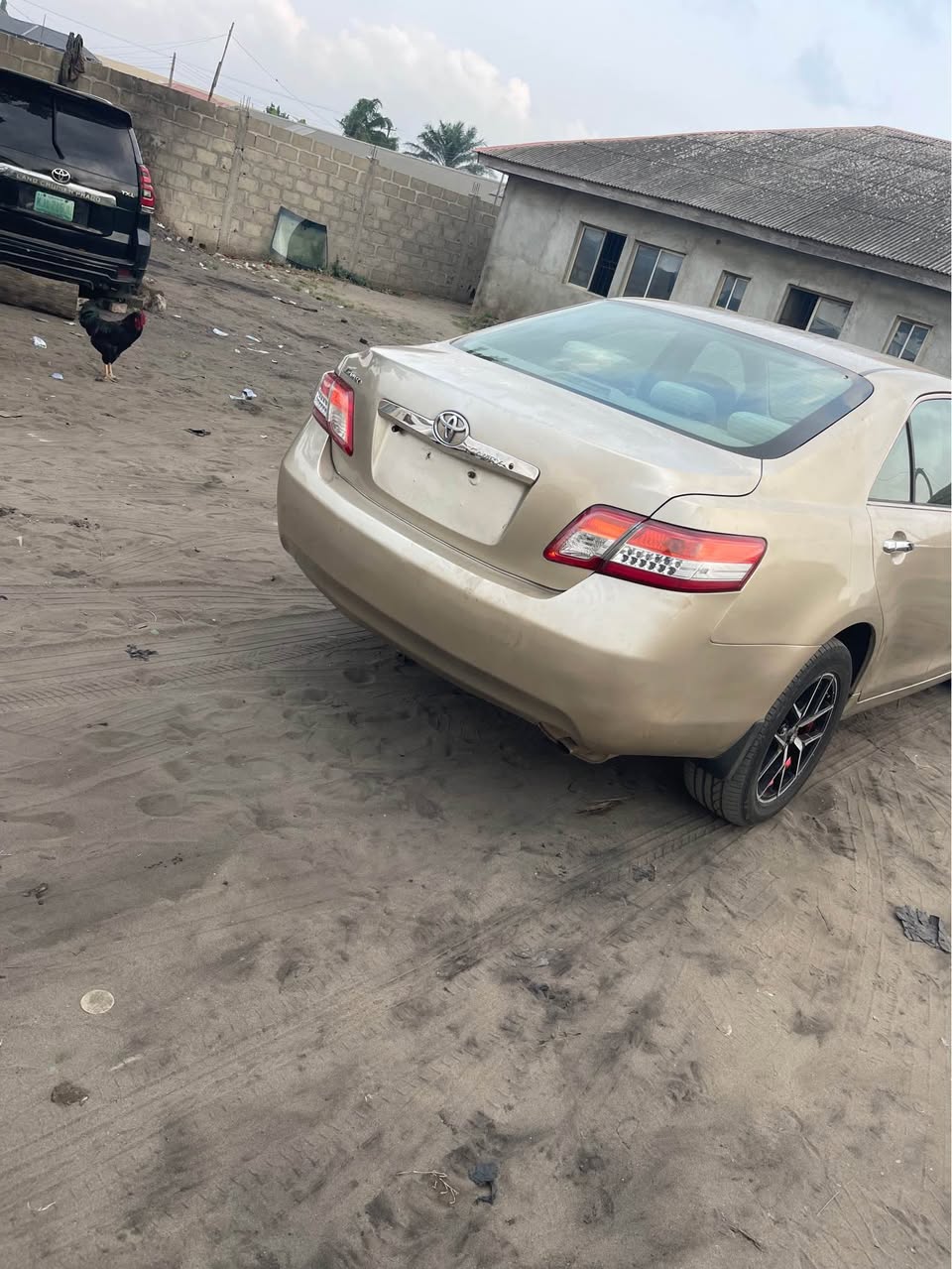 A picture of Toyota Camry car