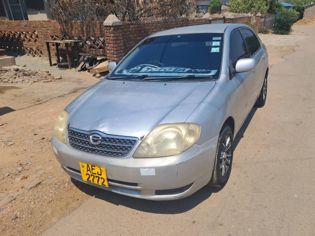 toyota corolla bubble