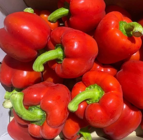 A picture of Fruits vegetables