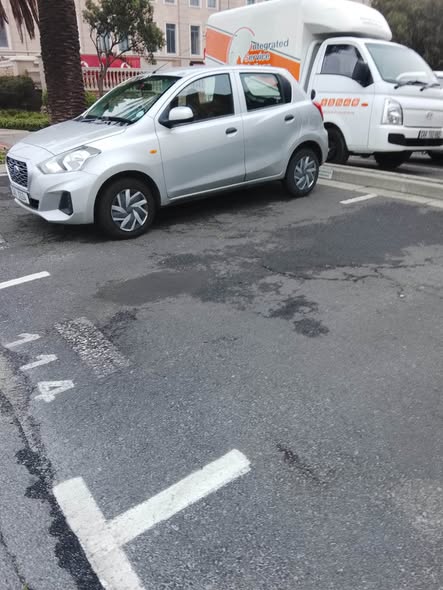 datsun