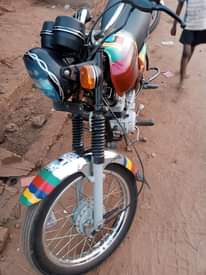 A picture of Used boxer for sell