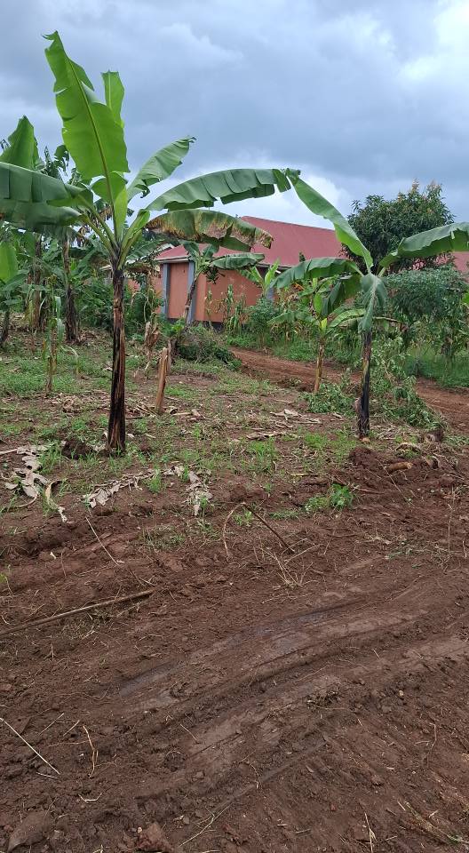 plots gayaza