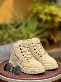 A picture of Evolution new model