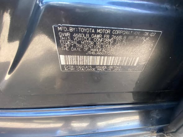 A picture of Camry Big Daddy