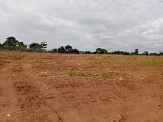 A picture of Commercial and Residential plots for sale located in Wakiso Gobero