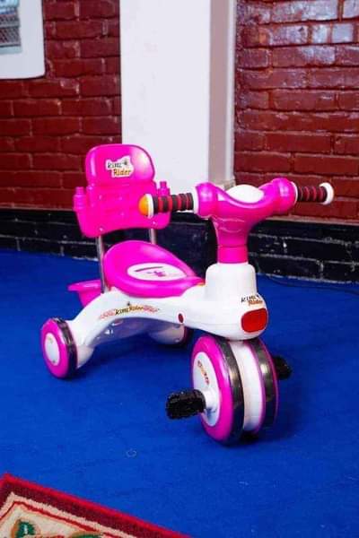 A picture of rockrider