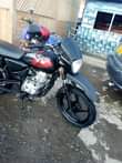 A picture of Boxer cc 125x