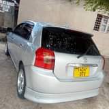 A picture of Runx 0684653022 or 0714127015