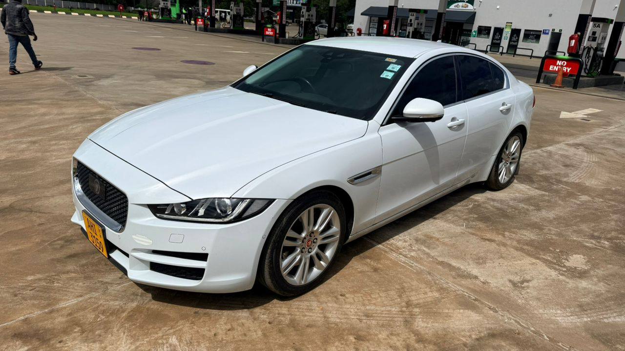 jaguar