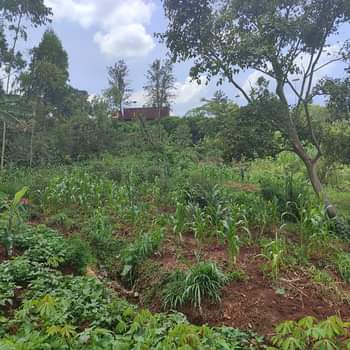 A picture of 1 acre