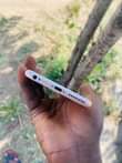 A picture of IPHONE 6S PLUS
