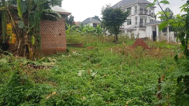 A picture of Plot for sale Kabuuma