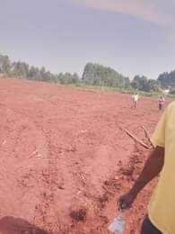 A picture of 50by100 at only 10m 50by50 at only 5 5m all