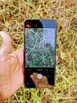 A picture of Samsung Galaxy a04 imenyooka saan gb64 ram4 net4g