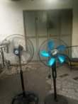 A picture of Vitu og 0653142079
