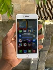 A picture of iPhone 7 Plus