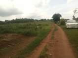 A picture of New estate matugga migadde 100by100ft 15m 100by50ft 8m 50by50ft 4