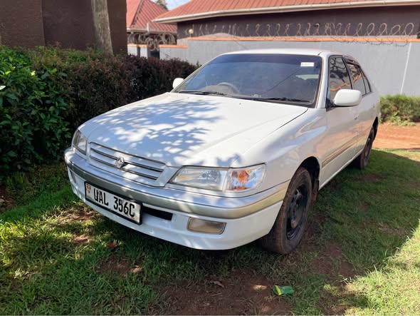 A picture of Toyota premio