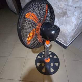 A picture of Nauza feni bado mpya