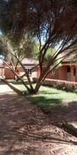 A picture of Two bedroom self contained house for rent at Bulenga kumwenda