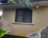 A picture of INAUZWA TABATA BIMA ILALA MIL 75