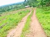 A picture of PLOTS ON SALE In Kakiri along Masuliita road 3 5km