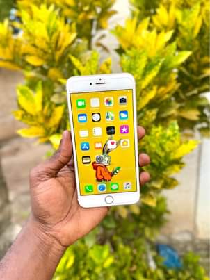 A picture of iPhone 6