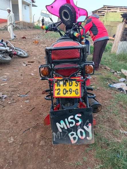 bajaj boxer