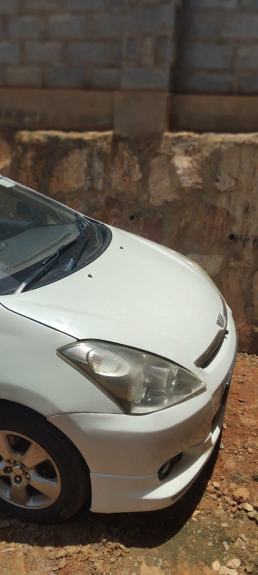A picture of Toyota wish