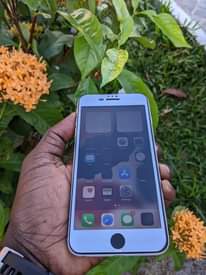 A picture of Iphone 6s