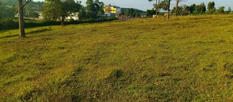 A picture of 15 ACRES AT MATUGGA TOUCHING GULU HIGHWAY