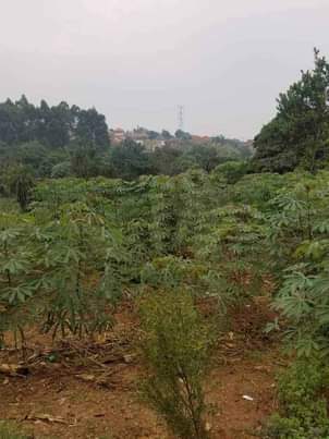 A picture of Quick sale plot 50 30 Namugongo Jogo town At 10m