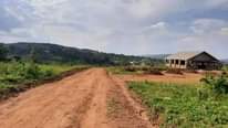 A picture of NKOWE WAKISO TOWN 50BY100 WITH READY LAND TITLE AT 25M