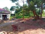 A picture of Kabuuma munyonyo rd plot