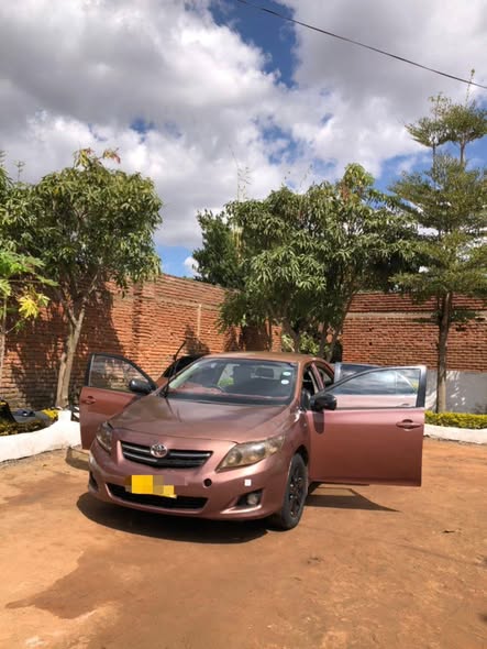 used toyota corolla