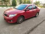 A picture of 2011 corolla