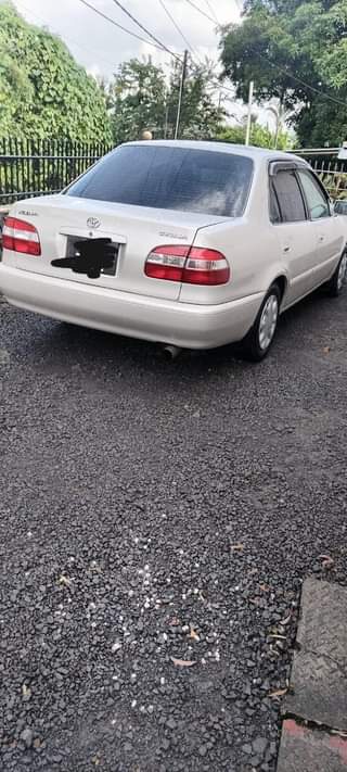 used toyota corolla