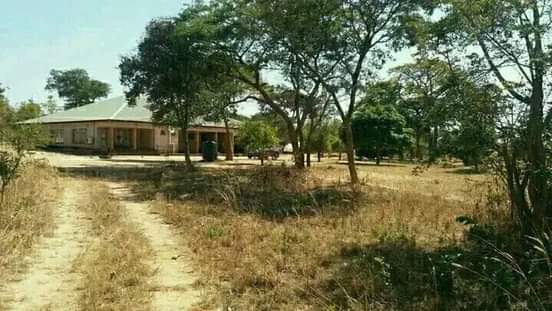 chisamba