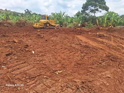 A picture of Plots on sale on fair prices