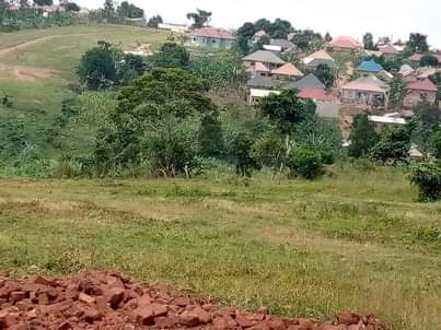 A picture of PRIME PLOTS FOR SALE LOCATED WAKISO NAMUSERA