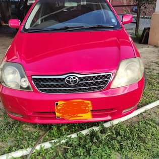 cars