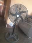 A picture of Feni ya soyi