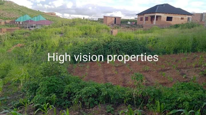 land
