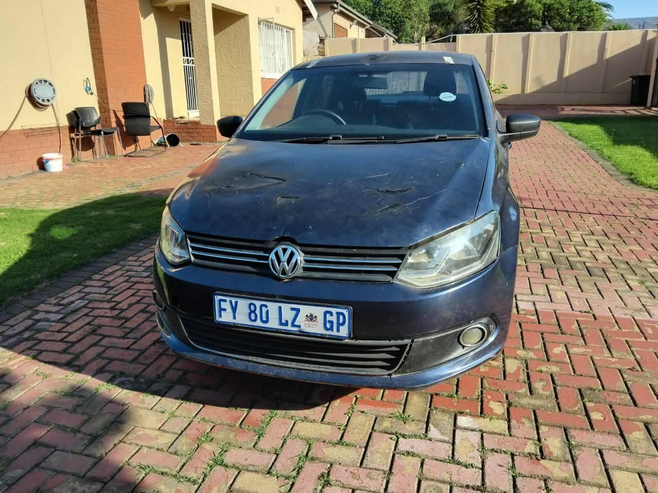 polo vivo