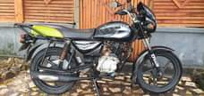 A picture of BOXER BM150 GIA TANO