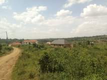 A picture of 38m 38m Hot deal quick sale 38m plot size 100by100ft