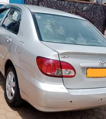 used toyota corolla